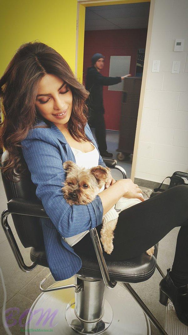 A cute picture of Priyanka Chopra with Li Jun Li puppy