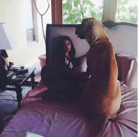 Athiya Shetty with a huge dog