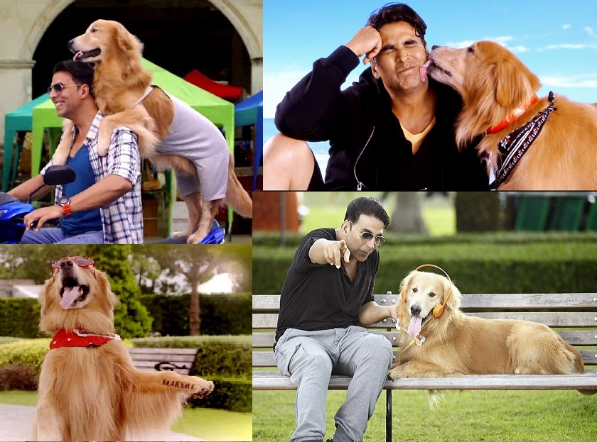 Different shades of Super Cool Talking Dog - Its Entertainment movie