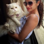 Gorgeous Prachi Desai with her little Zorro Kitty Love