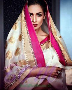 How Malaika Arora Khan looks in traditional sarees style