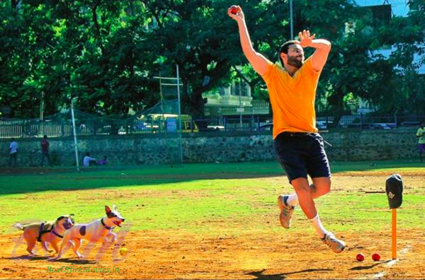 Kareena's dogs, Elvis and Leo following someone lovely