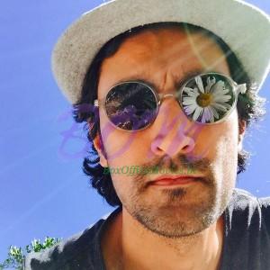 Kunal Kapoor awesome picture of wildflower in afternoon. It's artistic and interesting to see.