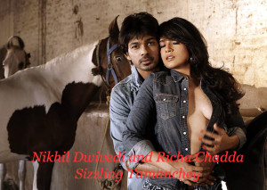 Nikhil Dwivedi and Richa Chadda Sizzling Tamanchey