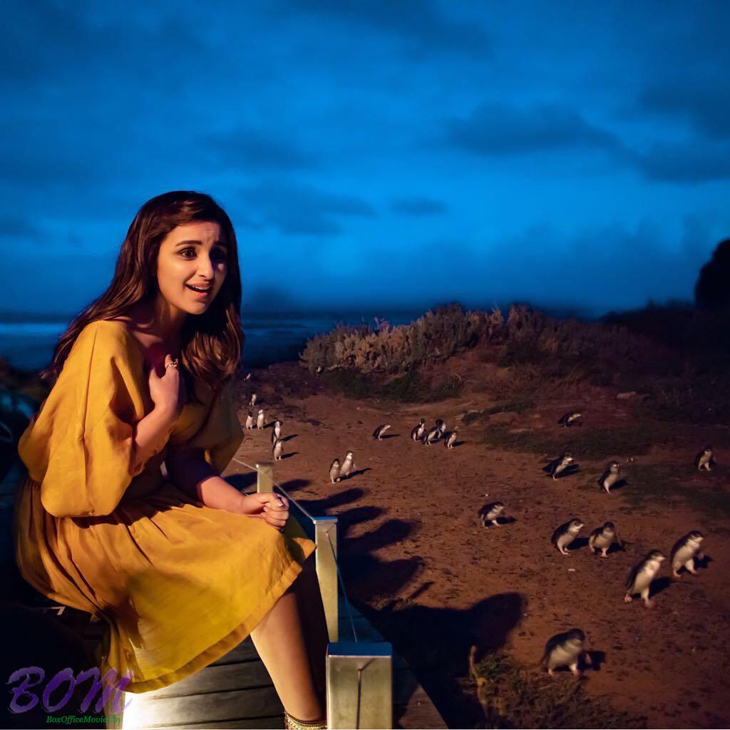 Parineeti Chopra had teaser in eyes when saw these penguins going back to home