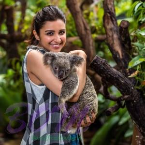 Parineeti Chopra with special Aussie friend at Kuranda Koala Gardens