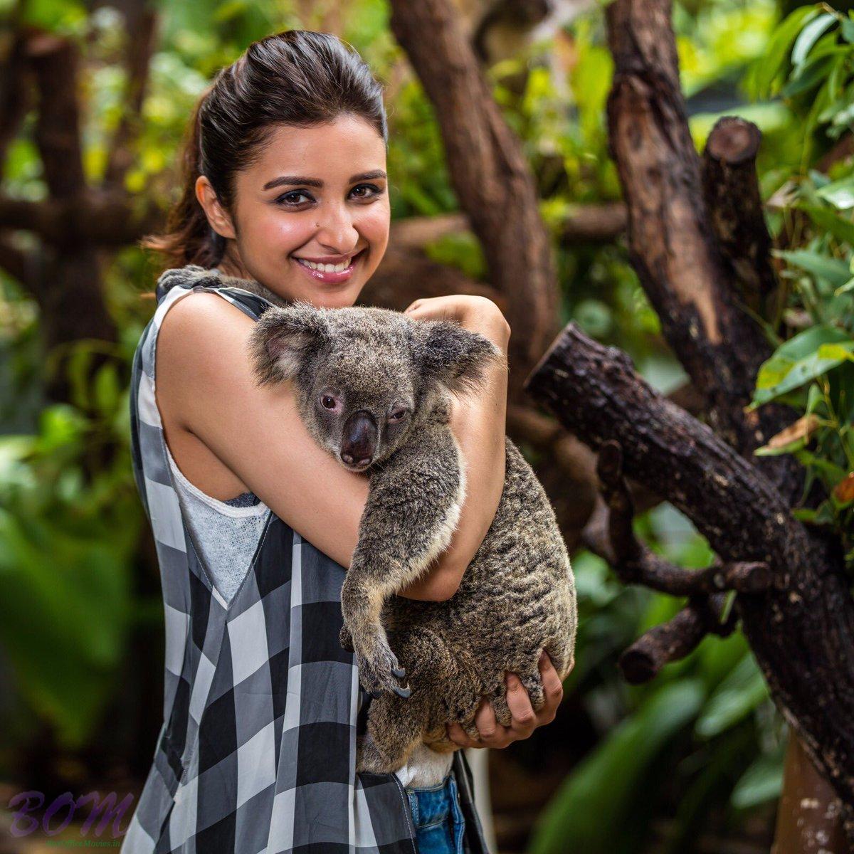 Parineeti Chopra with special Aussie friend at Kuranda Koala Gardens