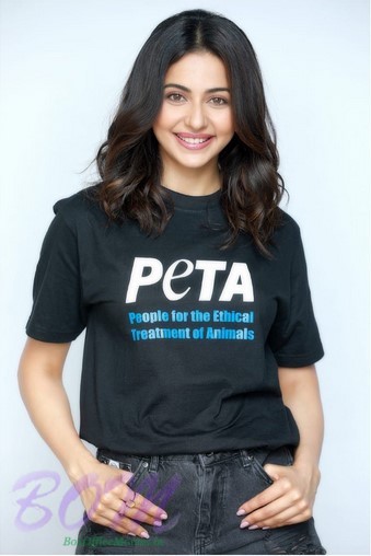 peta t shirt india