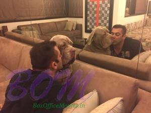 Salman Khan mirror moment with his DOG