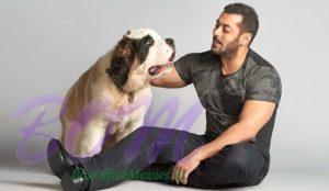 Salman Khan with his cute dog