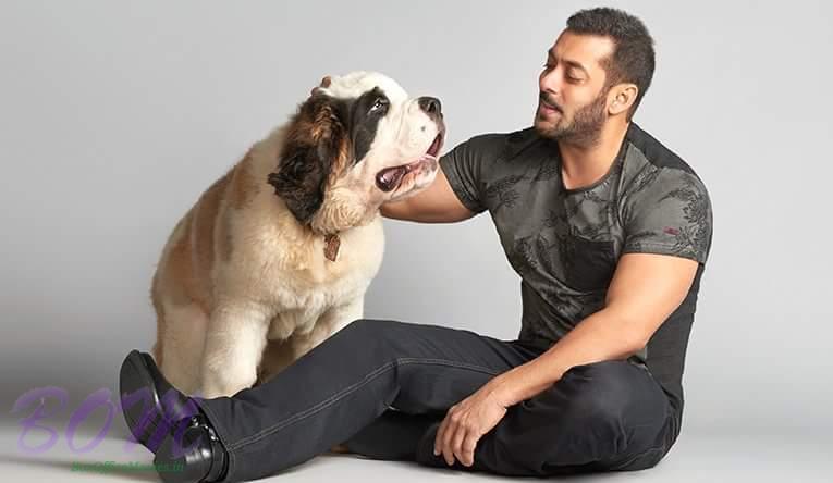 Salman Khan with his cute dog