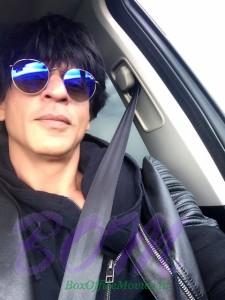Shah Rukh Khan says always wear your seat belt
