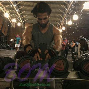 Shahid Kapoor during a fitness training session