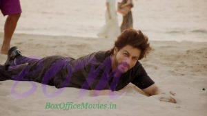 Shahrukh Khan loving it