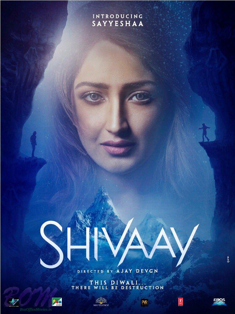 Shivaay movie poster introducing Sayyeshaa - Watch this pic direct ...