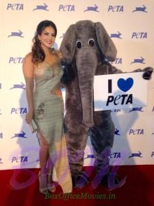 Sunny Leone loves PETA