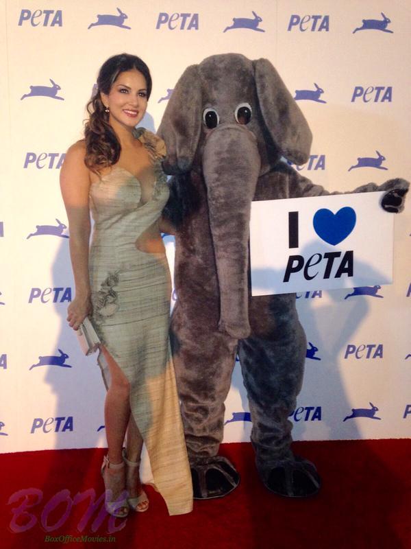 Sunny Leone loves PETA photo - Sunny Leone loves PETA picture
