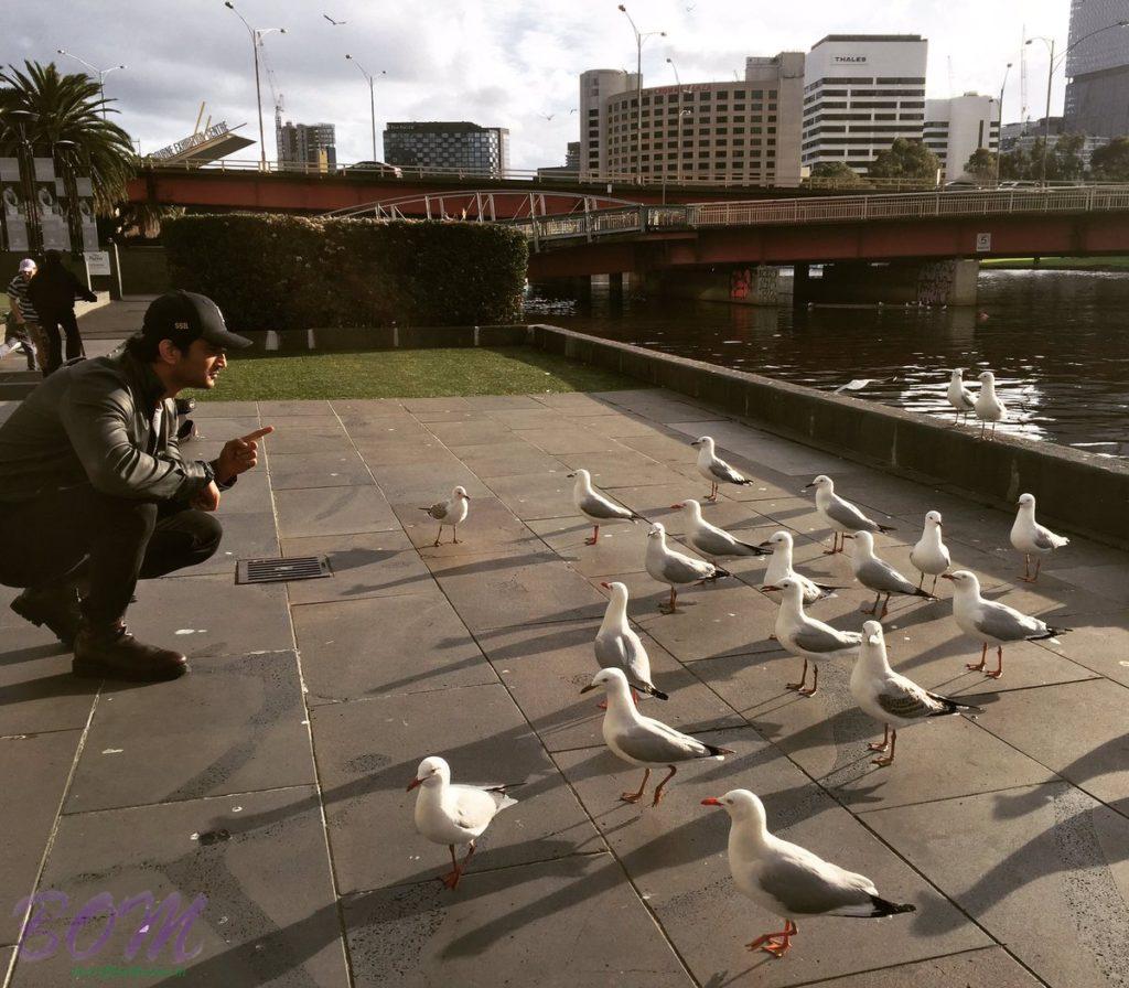 Sushant Singh Rajput last minute instructions to seagulls