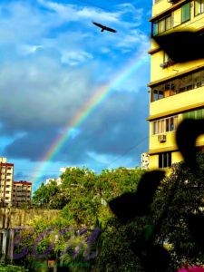 Unique Rainbow pic by actress Amyra Dastur