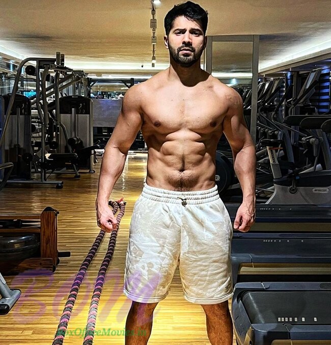 Varun Dhawan Bawaal