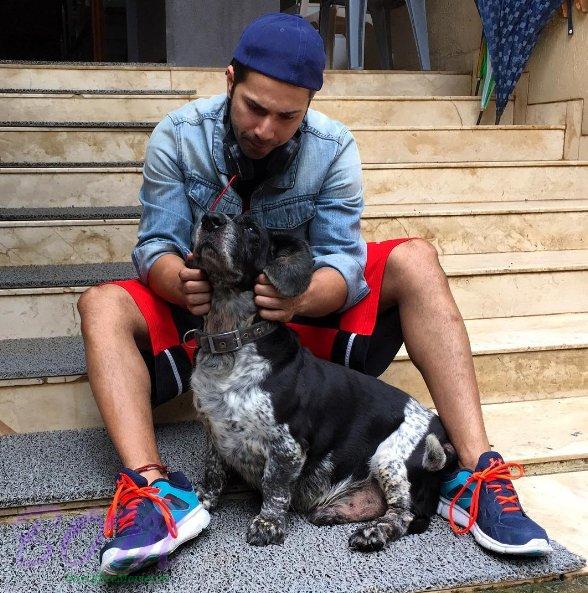 Varun Dhawan spending time with a sweet dog