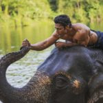Vidyut Jammwal‏ promises to take care these stunning creatures for life