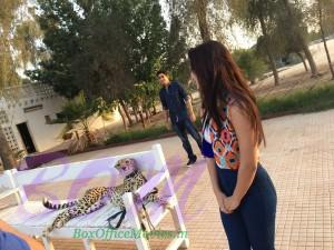 Any idea Why gorgeous Elli Avram looking this tiger