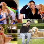 Different shades of Super Cool Talking Dog - Its Entertainment movie