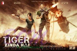 Salman Khan and Katrina Kaif starrer Horizontal poster of Tiger Zinda Hai.