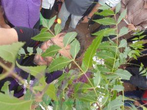 Jackie Shroff ‏suggest to plant tree for your kids