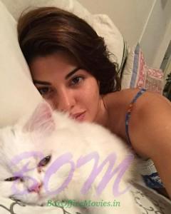 Jacqueline Fernandez selfie with her cat mate