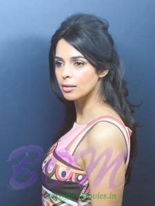 Mallika Sherawat at Cannes Festival this year