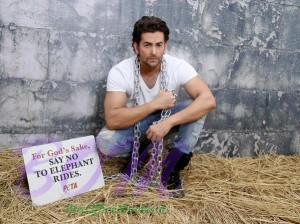 Neil Nitin Mukesh - Say no to Elephant Rides