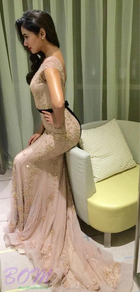 SONAL CHAUHAN gorgeous picture during SIIMA 2015