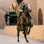Salman Khan in one action sequence of Tiger Zinda Hai