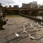 Sushant Singh Rajput last minute instructions to seagulls