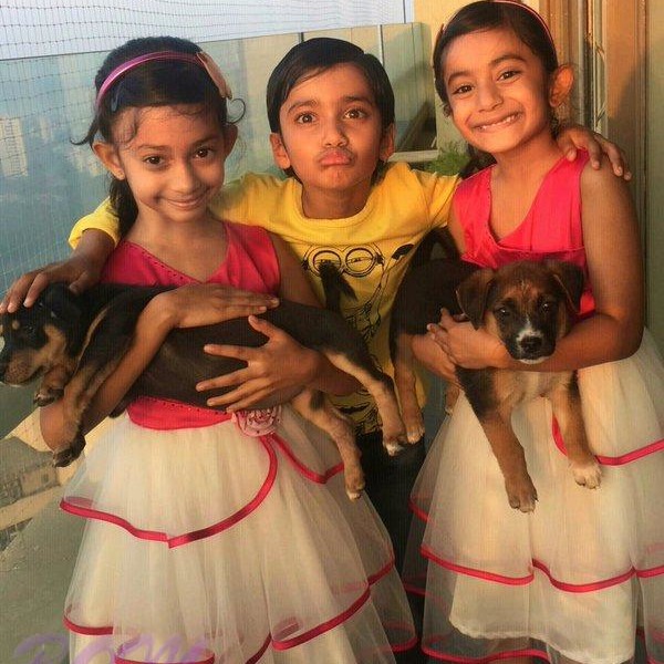 Three kids of Farah Khan – 8 years old in this pic