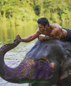 Vidyut Jammwal‏ promises to take care these stunning creatures for life